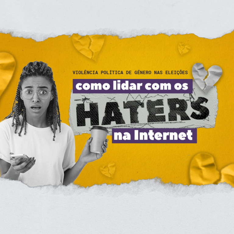 Violência Política de Gênero na Internet